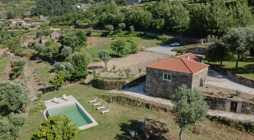 Photo of Vines of the Douro
