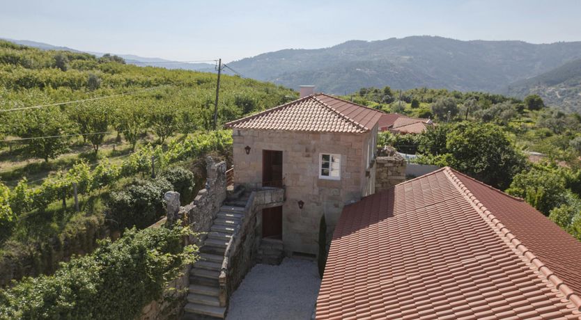 Photo of Vines of the Douro