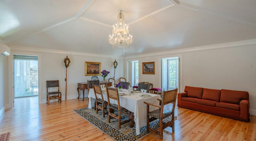 Photo of Vines of the Douro