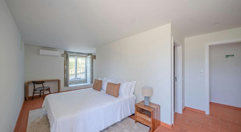 Photo of Vines of the Douro