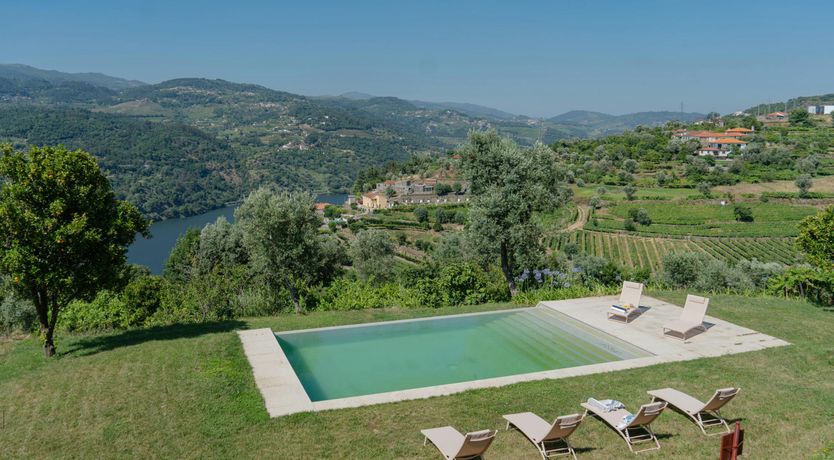 Photo of Vines of the Douro