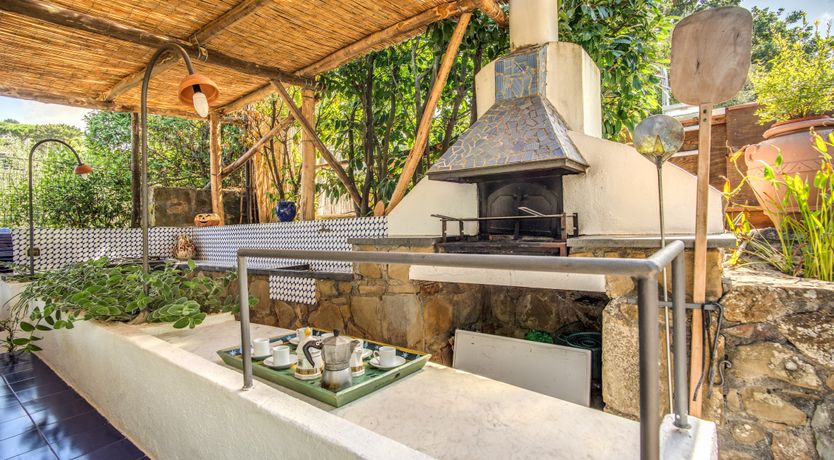 Photo of A Seaside Vista