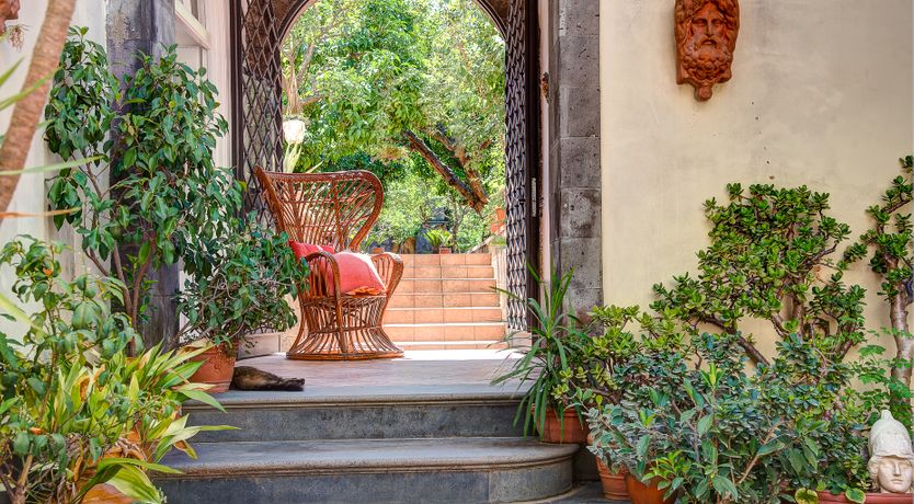 Photo of Rustic Grace