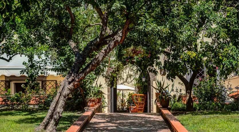 Photo of Rustic Grace