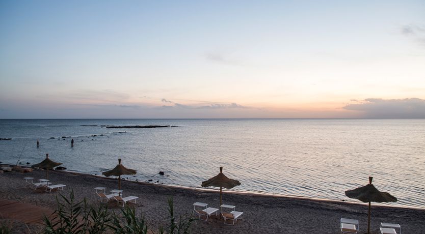 Photo of The Serene Dream