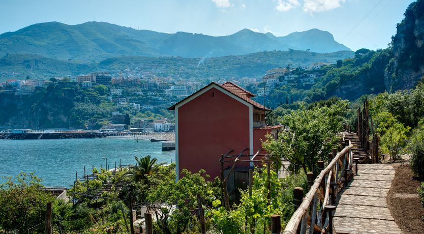 Photo of Mount of love