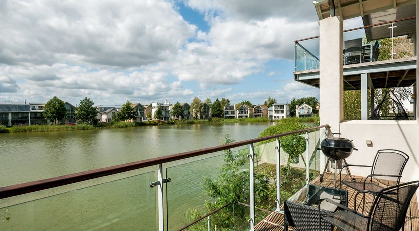 Photo of Butterflies in the Blue