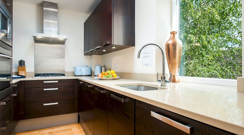 Photo of Butterflies in the Blue