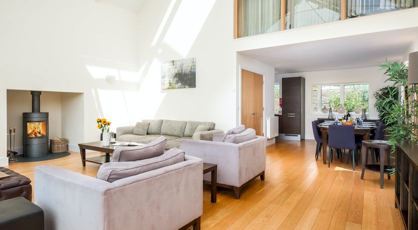 Photo of Butterflies in the Blue