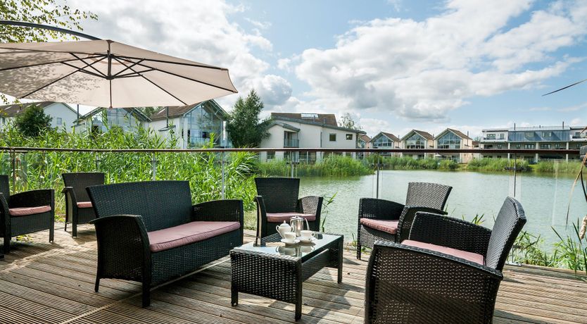 Photo of Butterflies in the Blue