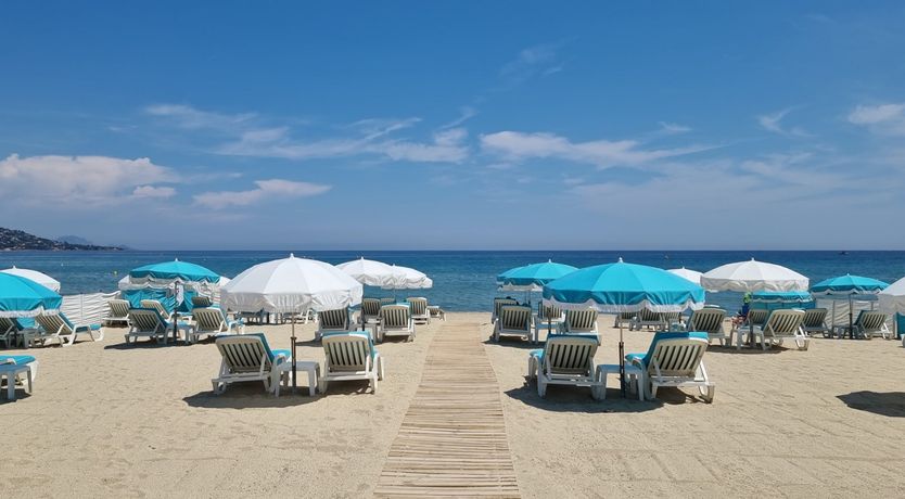 Photo of The Oak & Rose