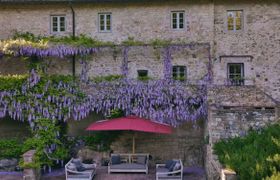 Photo of wisteria-wine
