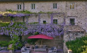 Photo of Wisteria & Wine