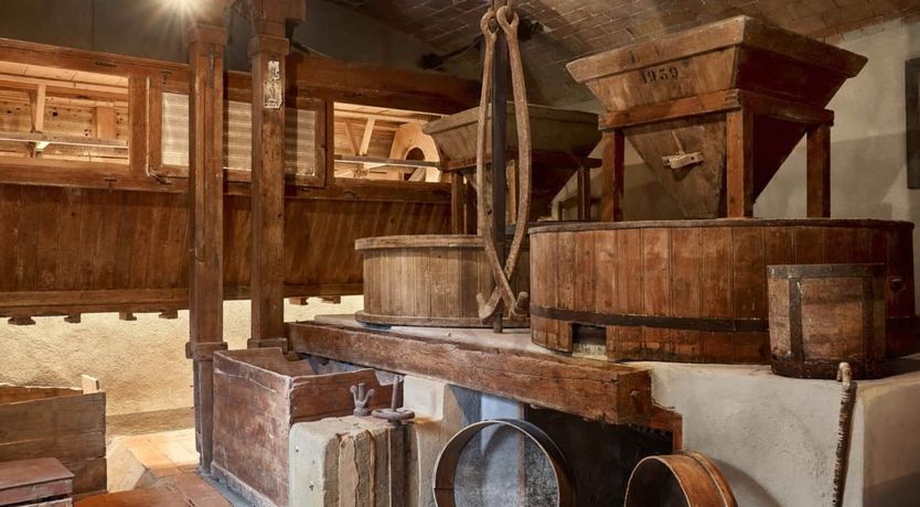 Photo of Wisteria & Wine