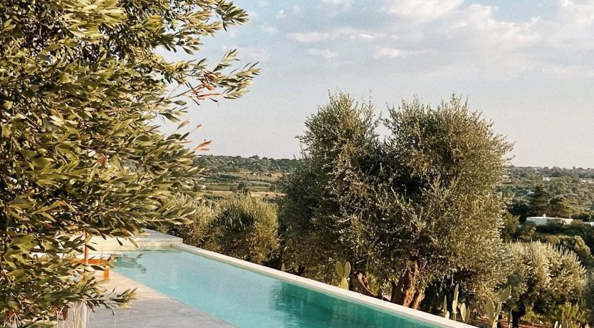 Photo of Hilltop Reverie