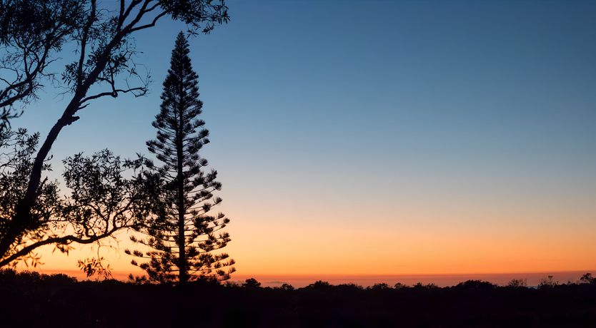 Photo of The Seaward Hunter