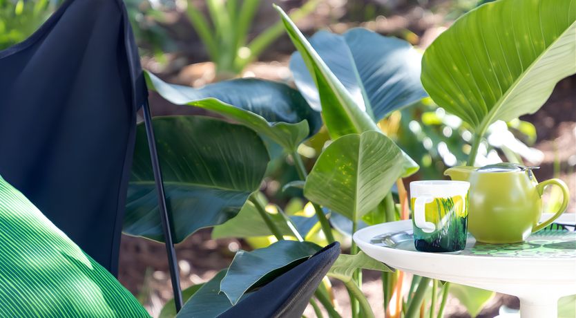 Photo of The Seaward Hunter