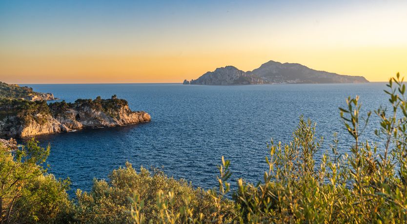 Photo of Wonder & Waves