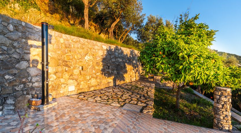 Photo of Wonder & Waves