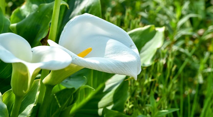 Photo of 7 Bed in Duncannon