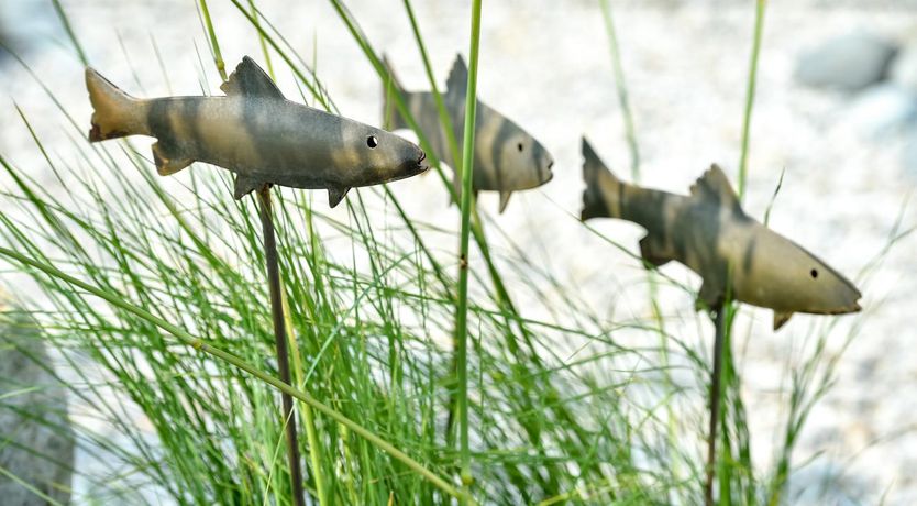 Photo of 7 Bed in Duncannon