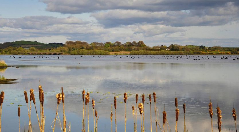 Photo of 4 Bed in Aghabullogue