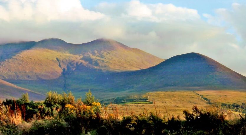 Photo of 3 Bed in Beaufort