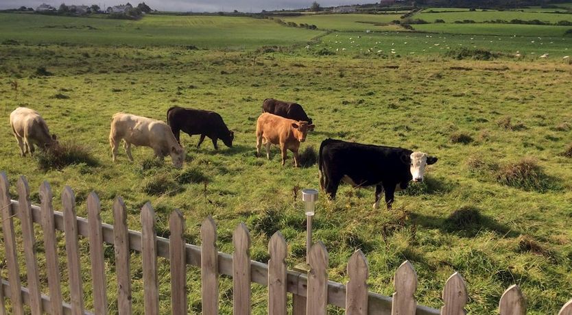 Photo of 1 Bed in Portballintrae