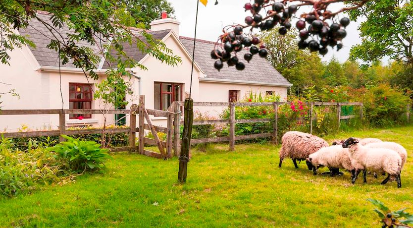 Photo of 2 Bed in Curry