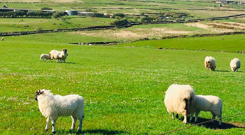 Photo of 4 Bed in Dunquin
