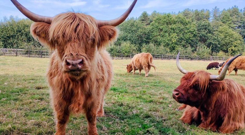 Photo of 5 Bed in Clenchwarton