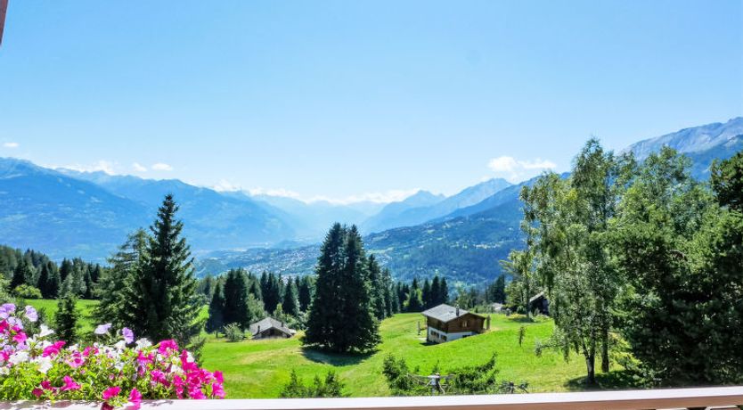 Photo of L'Arboisier A 3