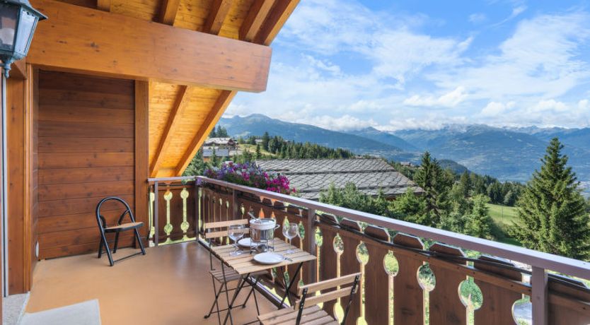 Photo of L'Arboisier A 3