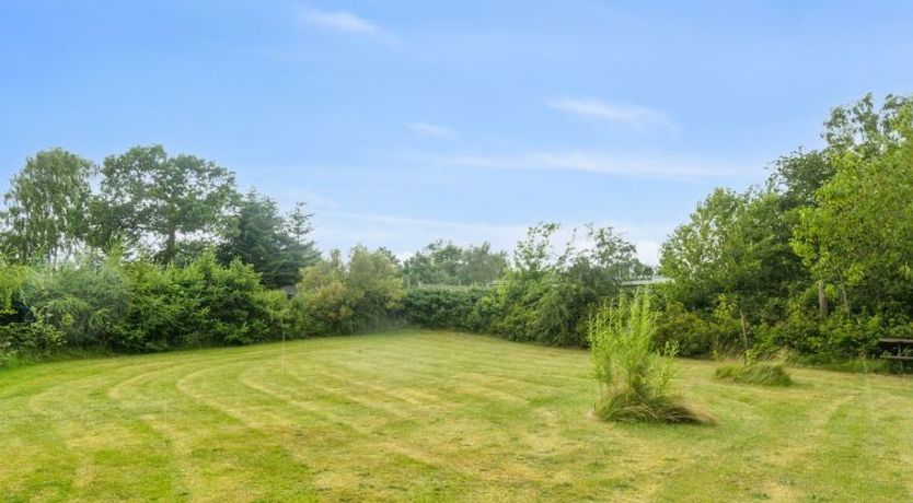 Photo of "Bruno" - 400m from the sea