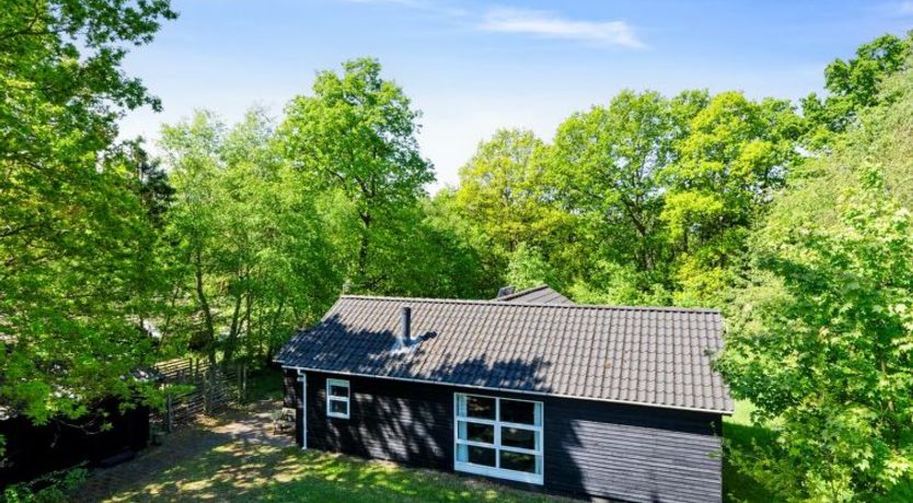 Photo of "Tomine" - 40km to the fjord