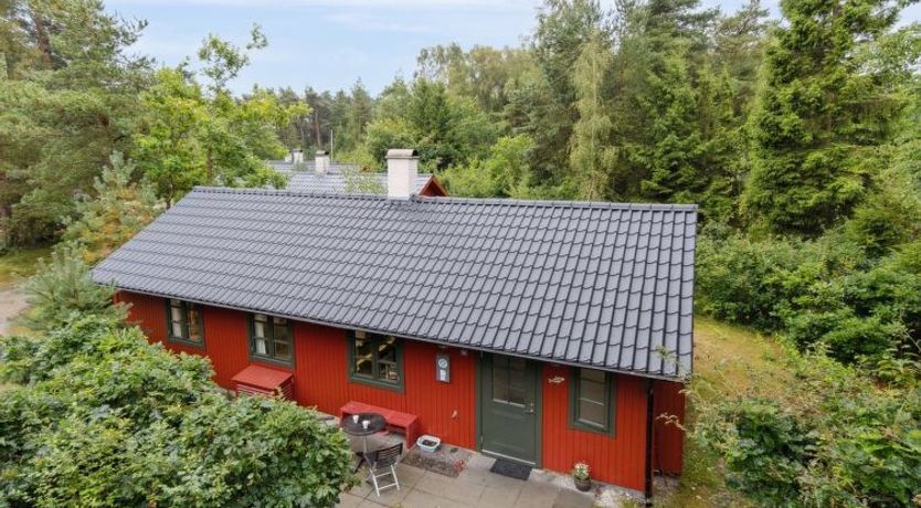 Photo of "Nahuel" - 200m from the sea