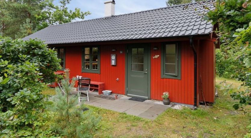 Photo of "Nahuel" - 200m from the sea