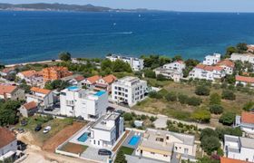 Photo of sinjorina