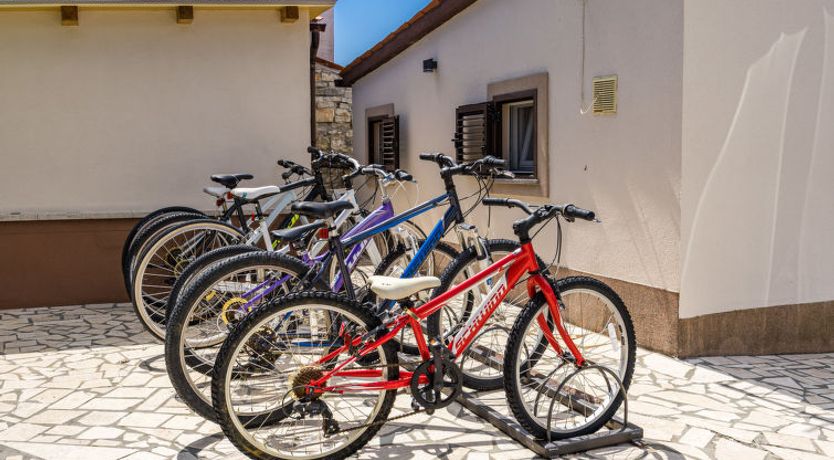 Photo of Susan & David