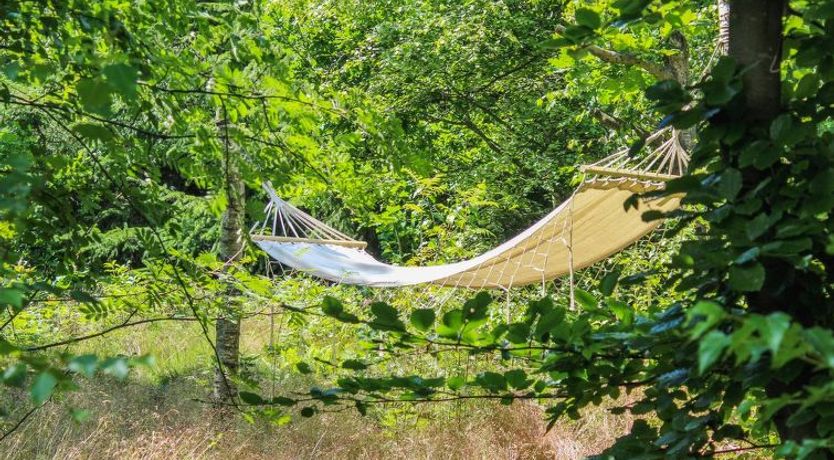 Photo of "Øllegård" - 250m from the sea