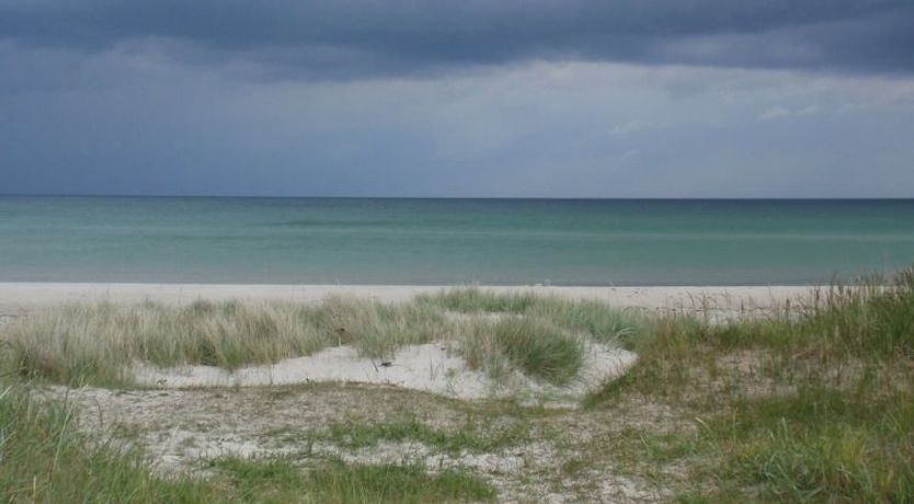 Photo of "Teodora" - 450m from the sea