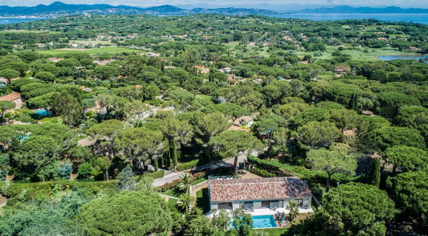 Photo of Brilliant Sea