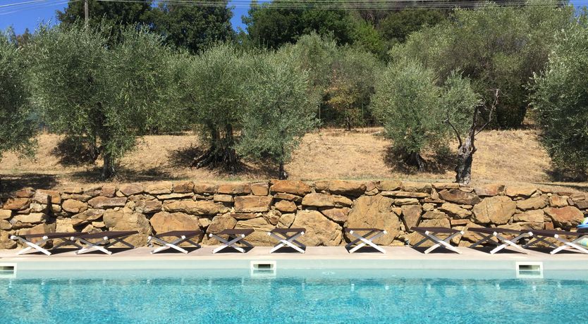 Photo of Tuscan Olives & Cypresses