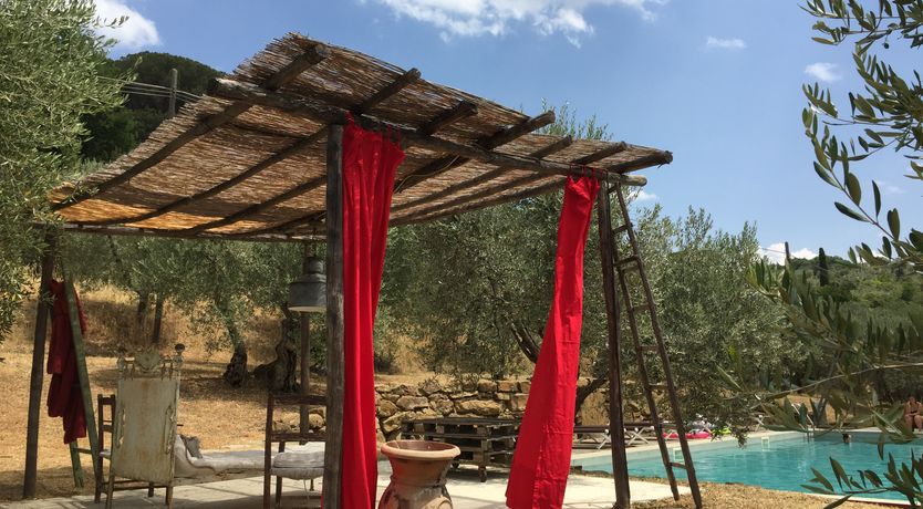 Photo of Tuscan Olives & Cypresses