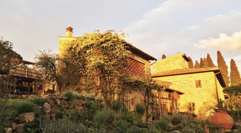 Photo of Tuscan Olives & Cypresses
