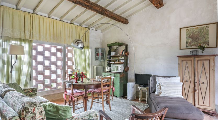 Photo of Tuscan Olives & Cypresses