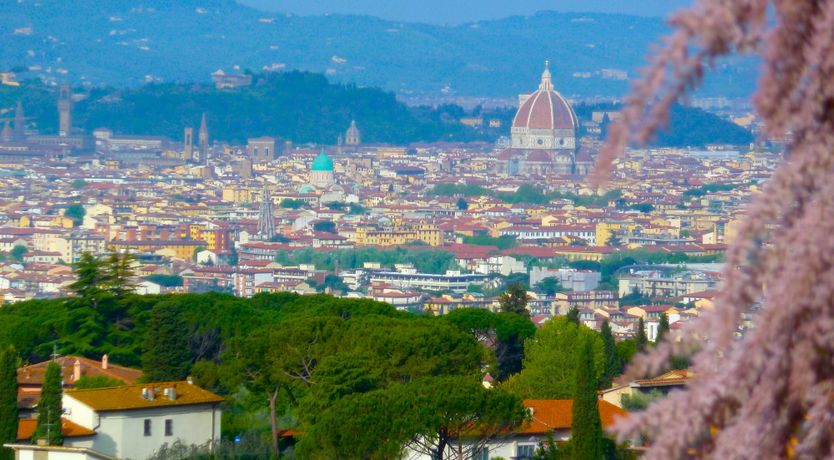 Photo of Tuscan Olives & Cypresses