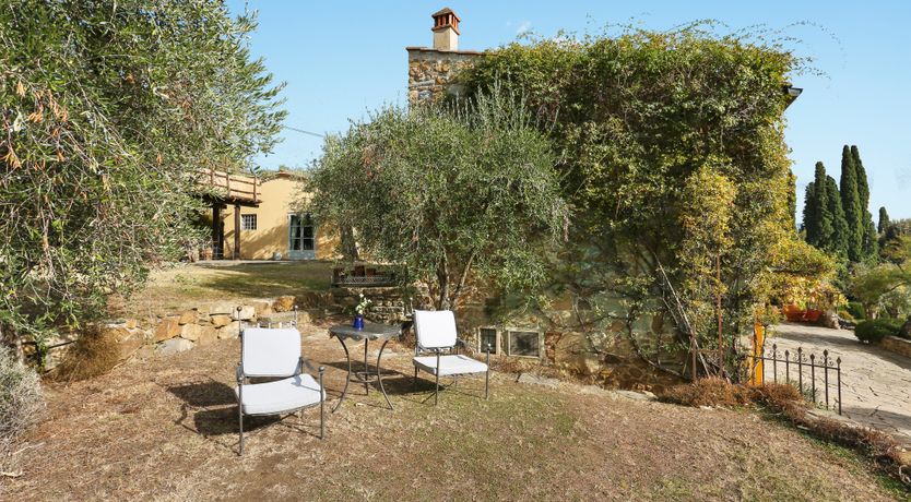 Photo of Tuscan Olives & Cypresses