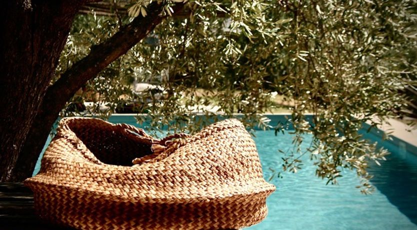 Photo of Tuscan Olives & Cypresses