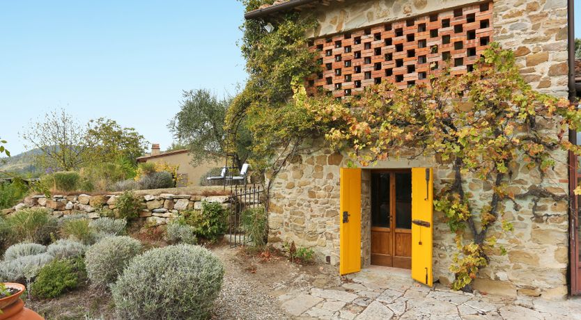 Photo of Tuscan Olives & Cypresses